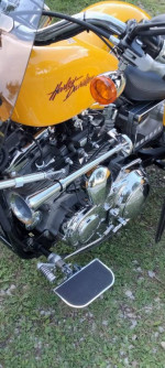 2001 custom Harley trike