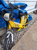 Scooter
