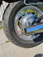 2006 Honda Shadow vlx 600