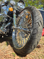 91 heritage softail