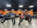 Trailmaster TM series :110cc ,125cc,140cc,150cc,160cc, 250cc,300cc