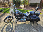 Harley Dyna Wide Glide