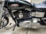 Harley Dyna Wide Glide