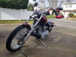 2000 HD Softail FXST