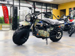 Tao Trail Boss 200 Mini Bike with head light- OFF ROAD ONLY, NOT STREE