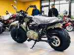 Tao Trail Boss 200 Mini Bike with head light- OFF ROAD ONLY, NOT STREE