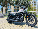 2022 Harley Davidson 883 Iron denim white 785 miles **YES FINANCING**
