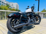 2022 Harley Davidson 883 Iron denim white 785 miles **YES FINANCING**
