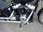 2021 Harley Davidson Softail Standard
