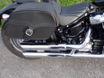 2021 Harley Davidson Softail Standard