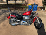 1997 Harley Sportster 1200 Custom