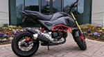 Custom Honda Grom