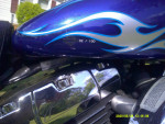 2006 FXDWGI