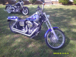 2006 FXDWGI