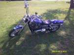 2006 FXDWGI