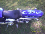 2006 FXDWGI