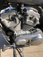 2006 Harley Davidson Sportster 883