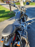 HD 883XL sportster