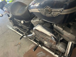 2003-100 anniversary Harley Davidson