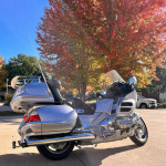 really clean! 2009 Goldwing