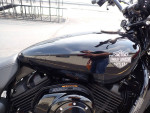 2020 Harley-Davidson Street 500