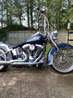 2008 Softail Deluxe
