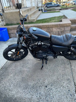 2021 Harley-Davidson Iron 883