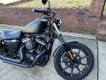 2021 Harley-Davidson Iron 883