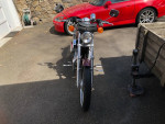 2000 Harley 883 Sportster Custom