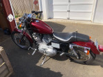 2000 Harley 883 Sportster Custom