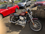 2000 Harley 883 Sportster Custom