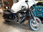 2003 Harley Wide Glide