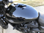 2015 Harley Street 500