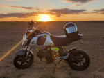 Custom 2023 Honda Grom Stage 2 with lots of mods!