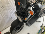 2024 Honda Ruckus