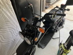 2024 Honda Ruckus