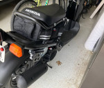 2024 Honda Ruckus