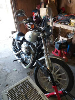Harley Davidson Sportster 883