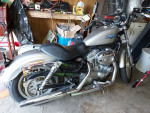 Harley Davidson Sportster 883