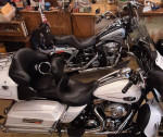 Harley Wide Glide & Ultra