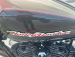 2005 Harley Davidson Soft tail 1300cc