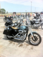 **REDUCED** 2007 Harley Davidson - 1200 (L) - Pristene Condition