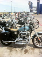 **REDUCED** 2007 Harley Davidson - 1200 (L) - Pristene Condition