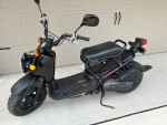 2005 Honda Ruckus 50 Scooter!