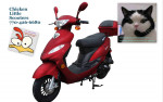 MOPEDS SCOOTERS - Low Down Payments
