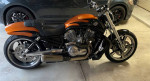 2014 Harley Davidson Vrod Muscle