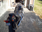 2004 Harley Night Train