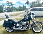 2005 Harley Davidson Softail Deluxe
