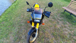 Yamaha TDR250