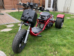 Icebear Maddog 150cc Trike